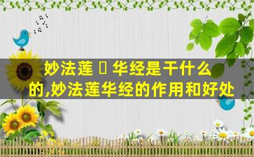 妙法莲 ☘ 华经是干什么的,妙法莲华经的作用和好处